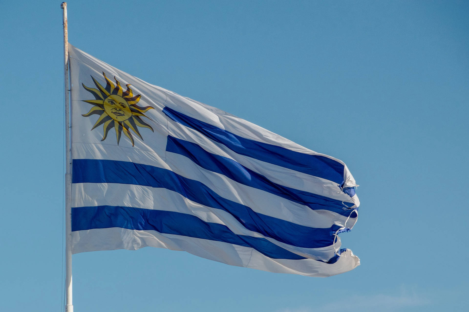 GAY Montevideo