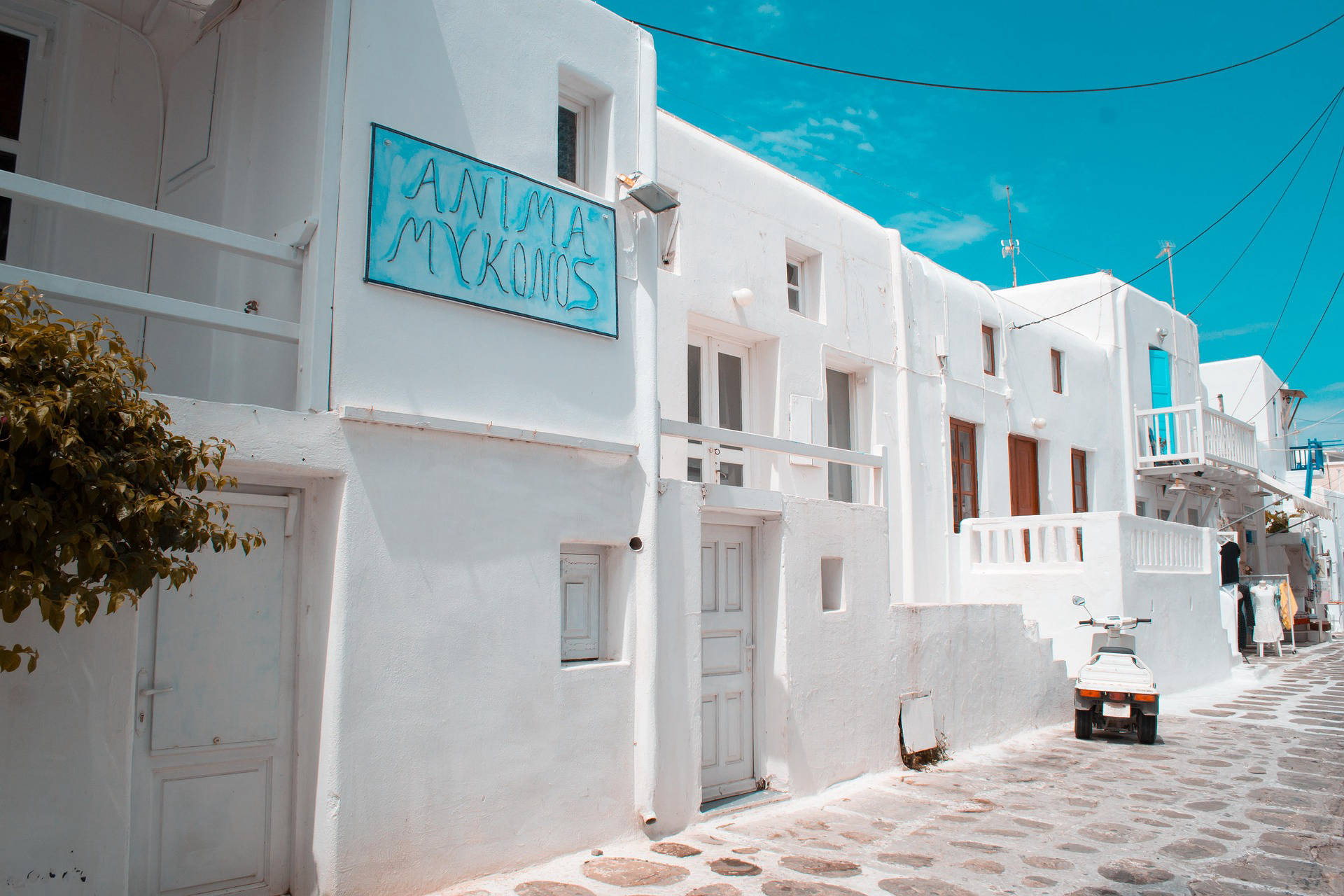 GAY GREECE