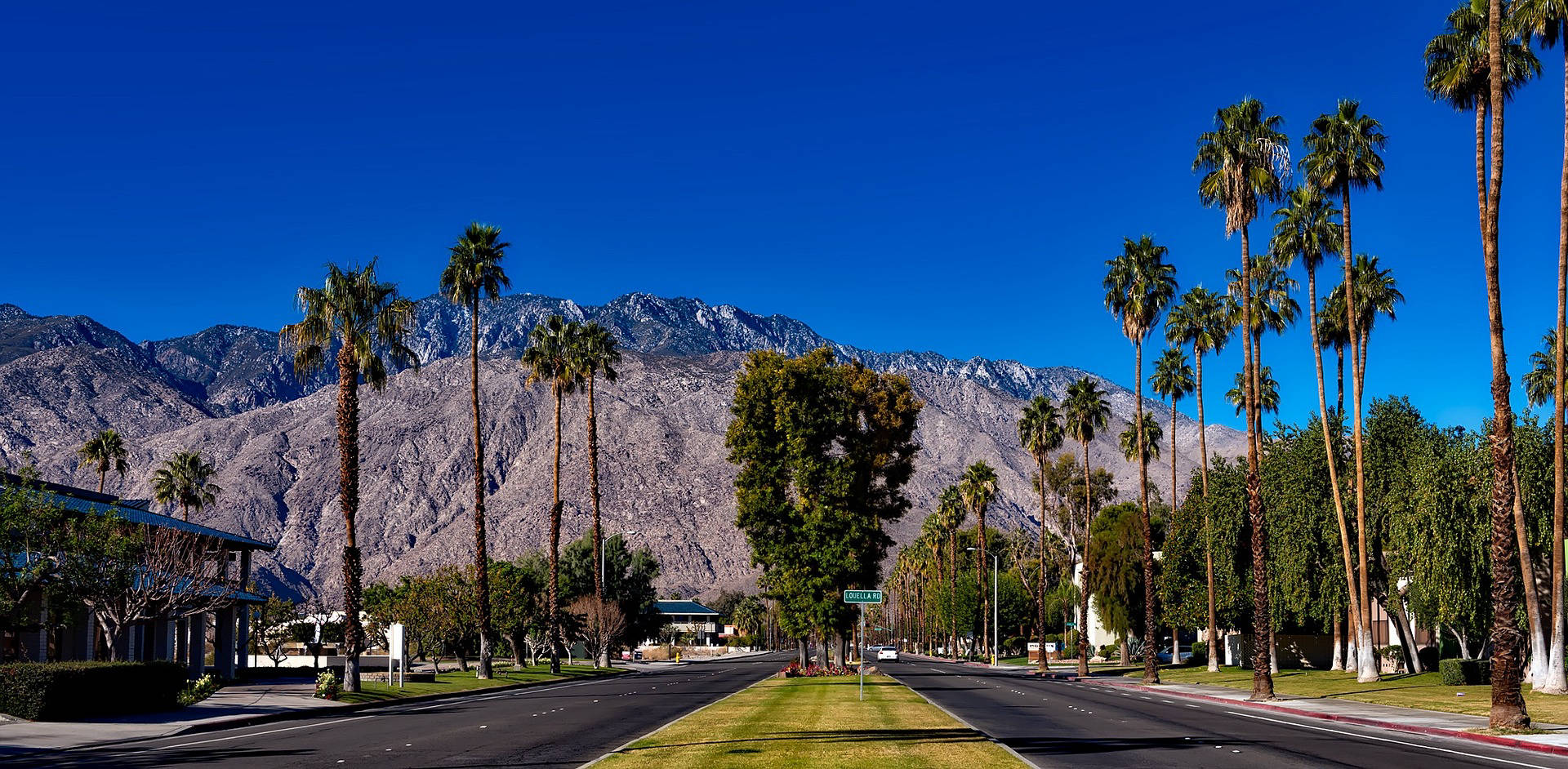 GAY PALM SPRINGS