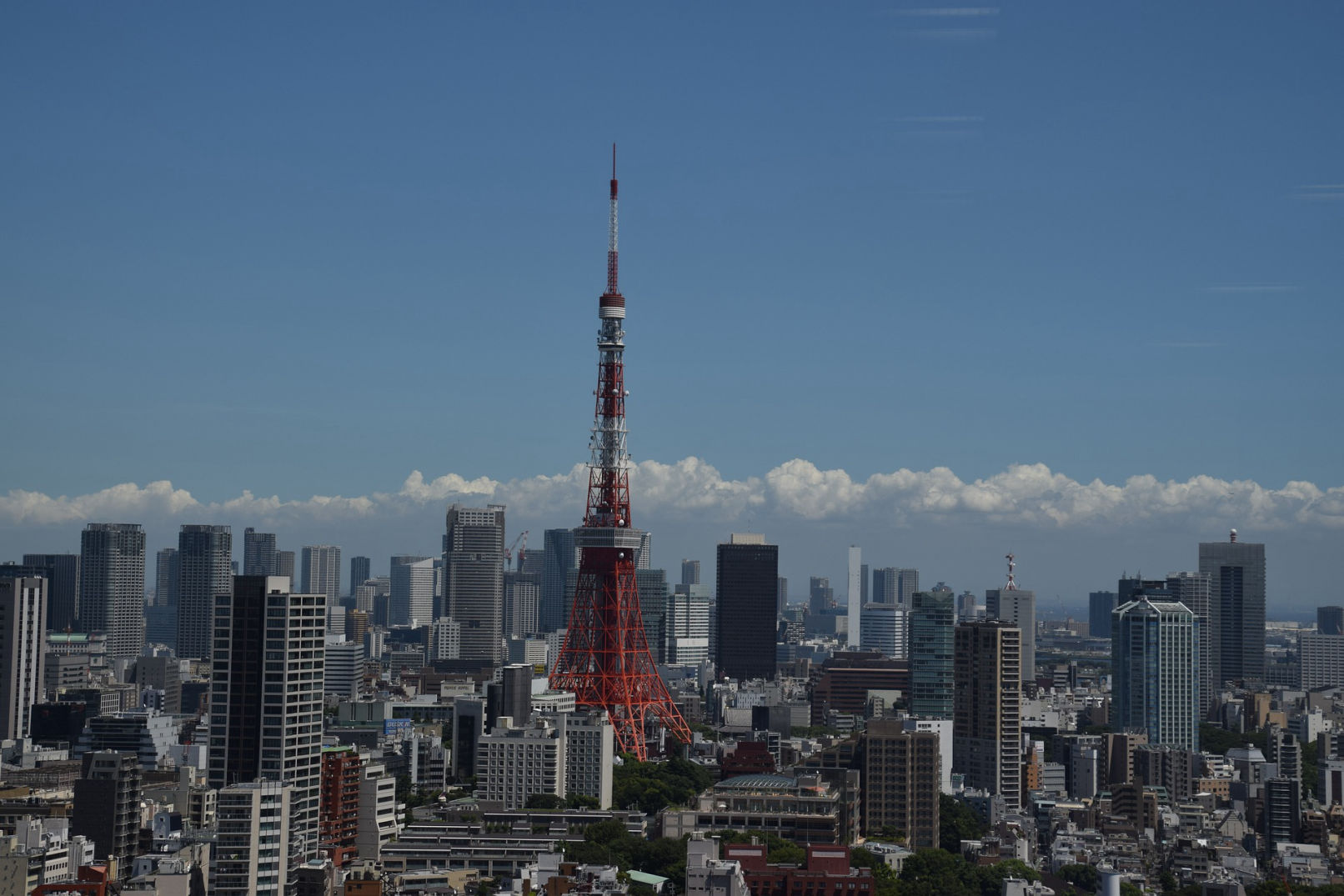 gay japan tower
