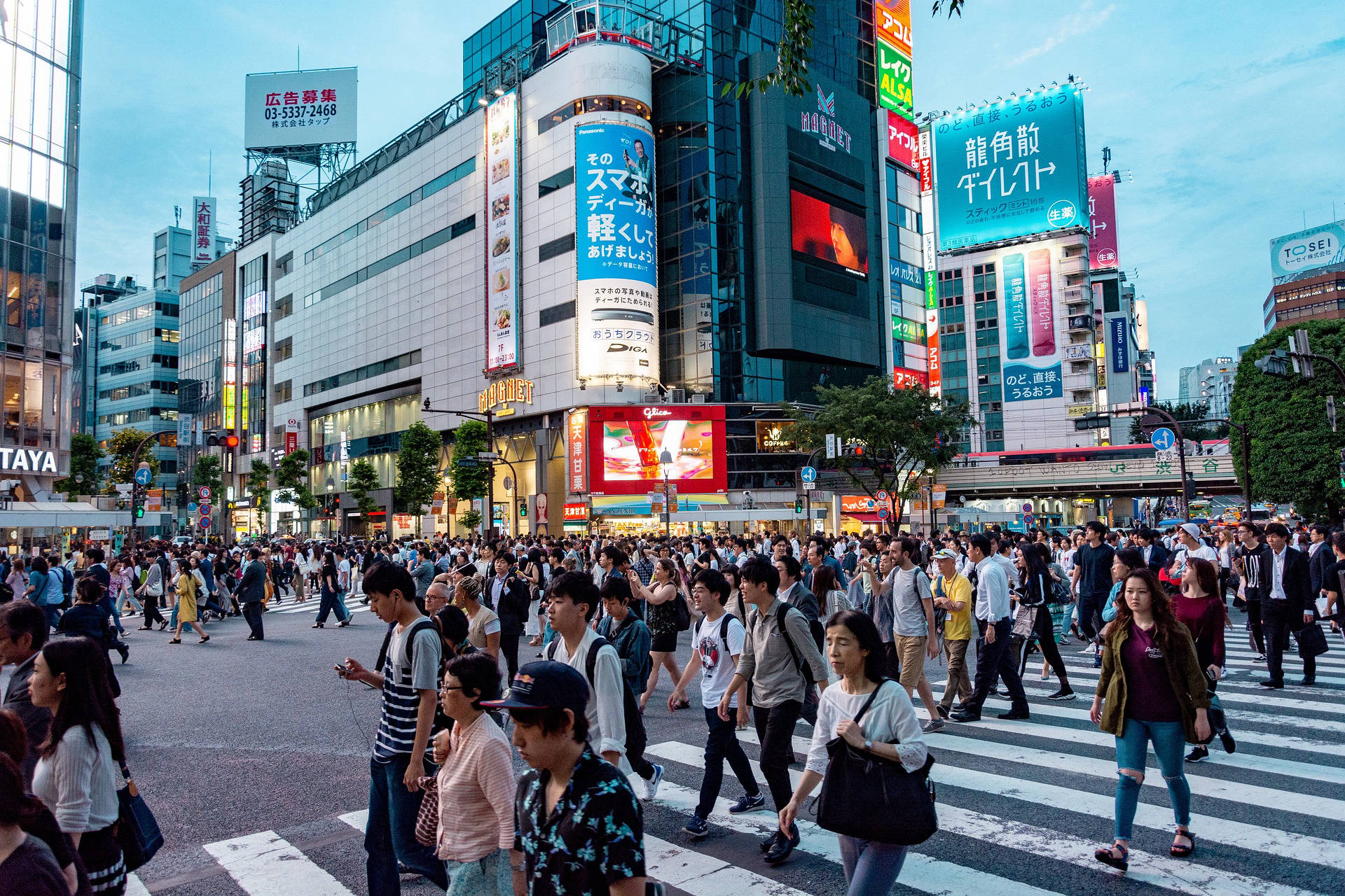 gay Tokyo